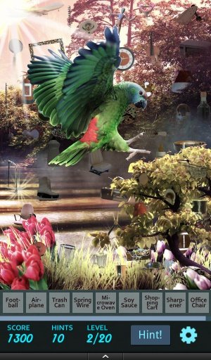 Hidden Object - Birds Aviary截图1