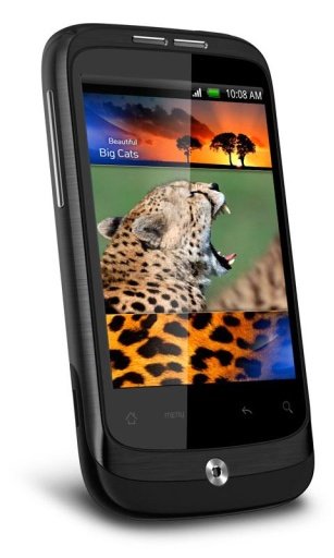 Jungle King Wild Jaguar HD LWP截图3