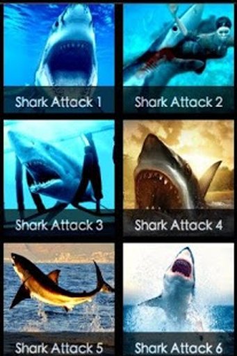 Hungry Attack Sharks截图3