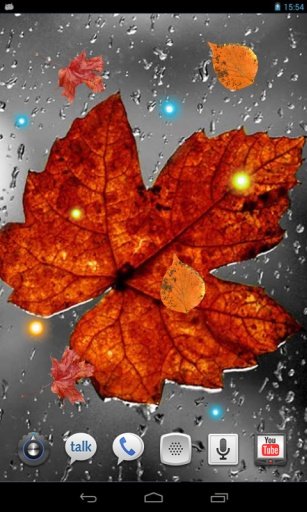 Autumn Cool HQ live wallpaper截图2