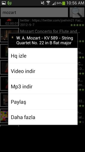 Mp3 indir截图7