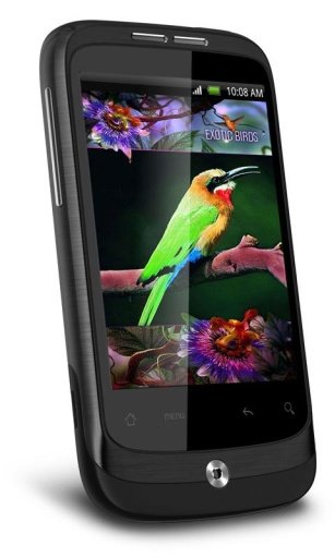 Colibri House Live Wallpaper截图4