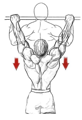 Pull Ups King Workout Free截图4