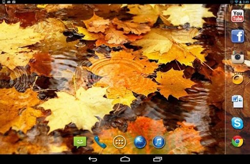 Autumn Leavs live wallpaper截图6