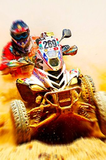 Desert Racing : Moto Rider截图3