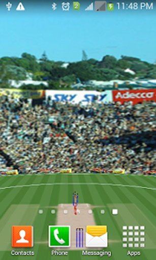 3D Cricket Stadium截图1