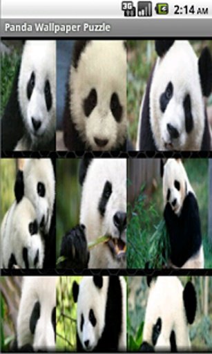 Panda Wallpaper Puzzle截图2