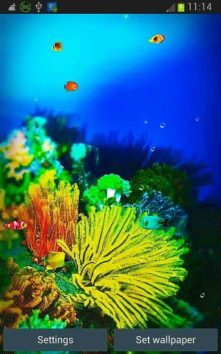 Galaxy S5 Fish Reef Wallpapers截图1