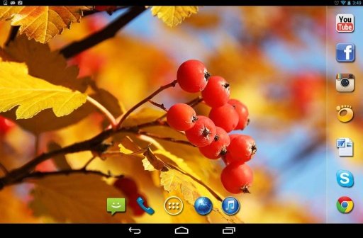 Autumn Leavs live wallpaper截图3