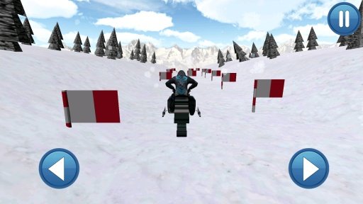 Snowmobile Race 3D Pro截图1