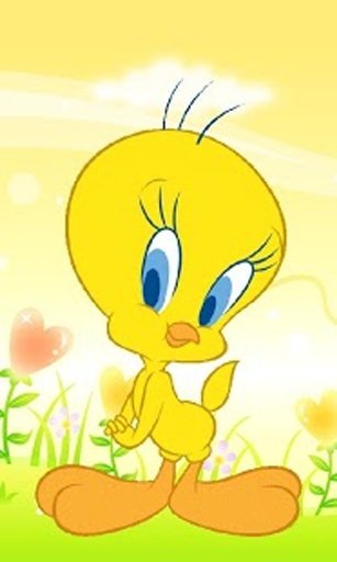 Tweety Bird Wallpaper截图1