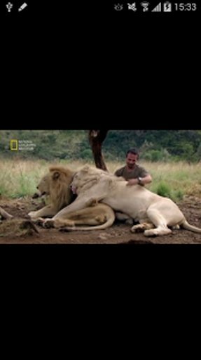 Nat Geo Abu Dhabi Videos截图1