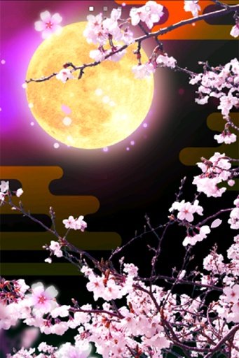 Cherry Blossoms at Night Trial截图3