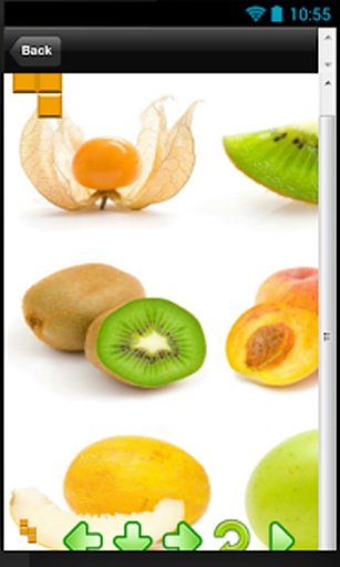 Fruit Block Splash截图7