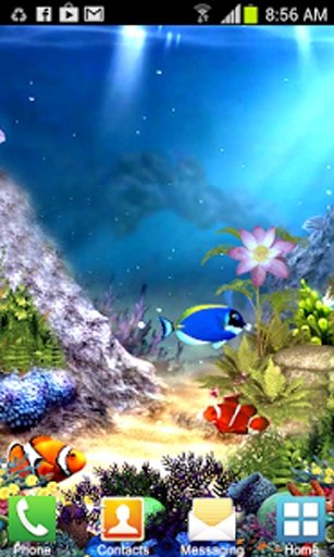 Aquarium Live Wallpaper New截图2