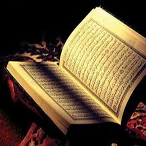 Quran Surat An-Nisa + Benfits截图3