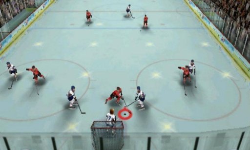 Hockey Pro 3D 2014截图3