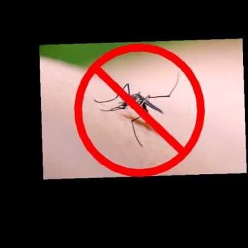 ANTI MOSQUITO SONIC REPELLENT截图5