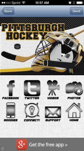 Pittsburgh Hockey *FREE*截图2