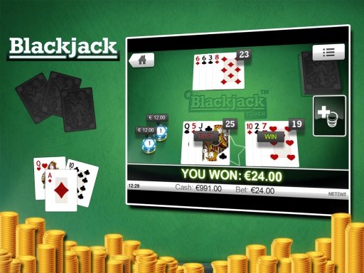 BlackJack 21 - Pontoon截图3