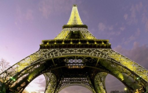 Magnificent Eiffel Tower截图2