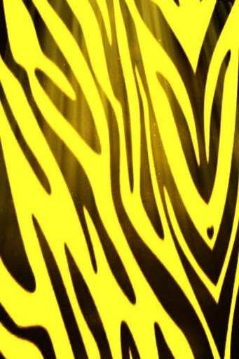 Yellow Zebra Print LWP截图1