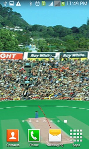 3D Cricket Stadium截图4