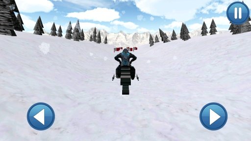 Snowmobile Race 3D Pro截图4