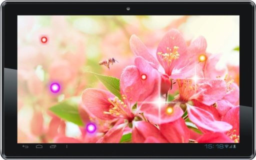 Sakura Japan Garden HQ LWP截图1