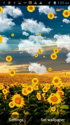 Sunflower Falling Wallpaper截图4