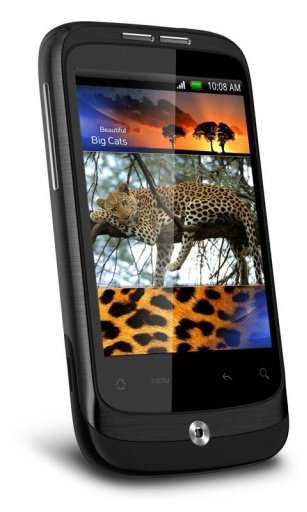 Jungle King Wild Jaguar HD LWP截图4