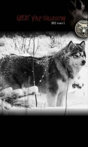 White Wolf Snow Live Wallpaper截图3