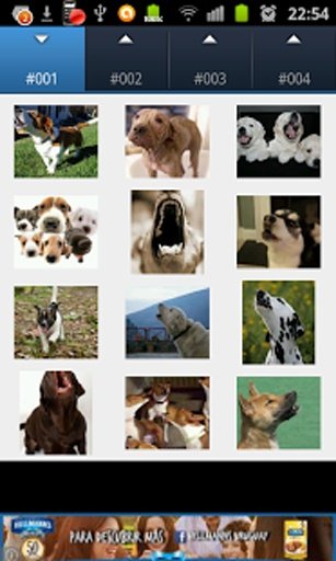 Dogs and Cats Sounds截图5