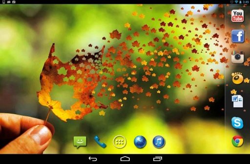 Autumn Leavs live wallpaper截图8