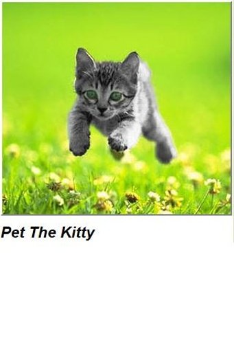 Pet the kitty截图2