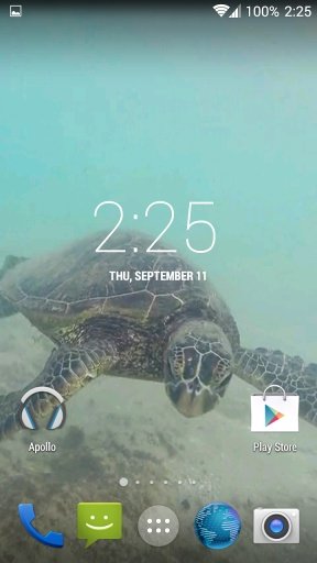 Sea Turtle HD. Wallpaper截图5