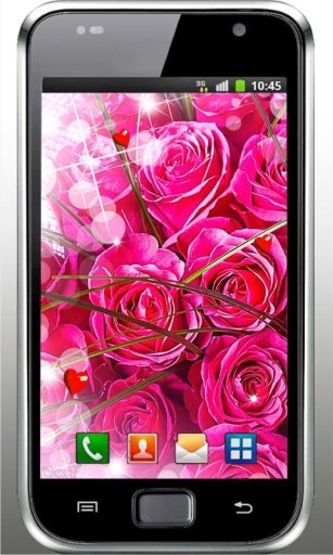 Love Roses HD live wallpaper截图6