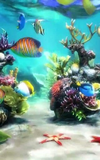 Aquarium 3 live wallpaper截图1