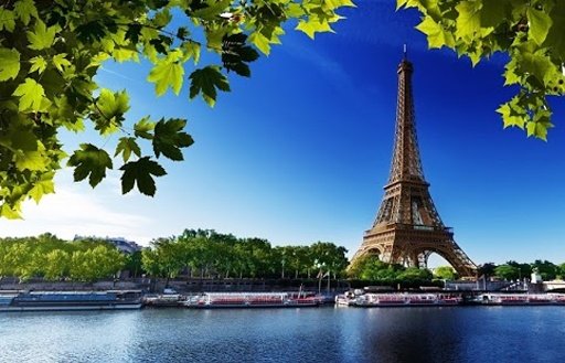 Magnificent Eiffel Tower截图3