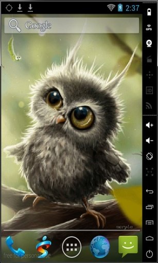 Funny Little Owl Live Wallpaper截图2