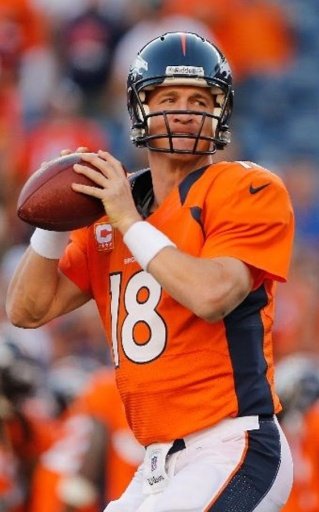 Peyton Manning Puzzle截图6