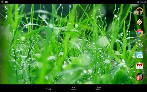 Live Grass HD截图3