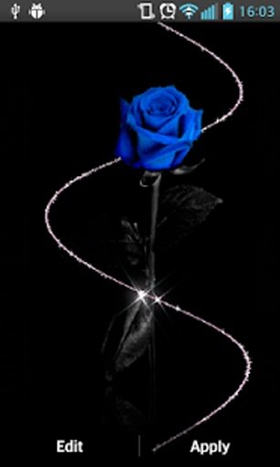 Blue Roses Live Wallpaper截图5