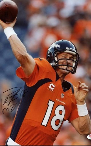 Peyton Manning Puzzle截图5