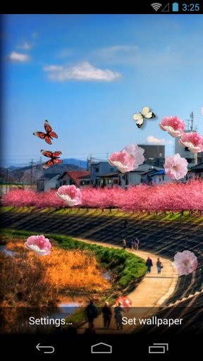 Sakura HD Live Wallpaper截图5