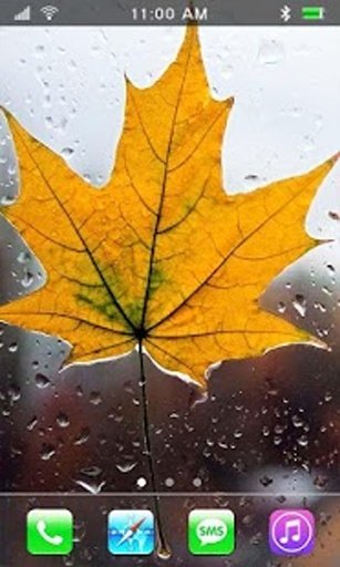 Autumn Leavs live wallpaper截图7