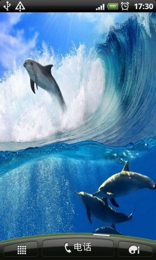 Dolphin Diving live wallpaper截图2