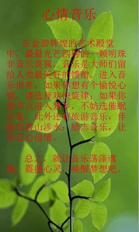 心情音乐截图6