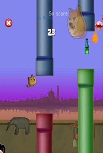 Flappy Doge World截图3