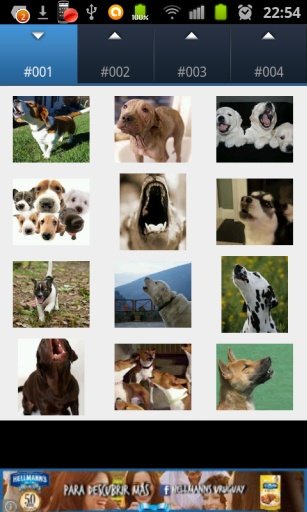 Dogs and Cats Sounds截图4